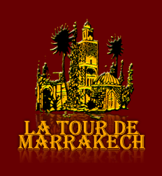 tour marrakech antony